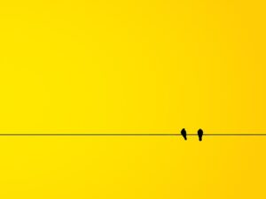 Energía Limpia: Una Solución a la Crisis Climática